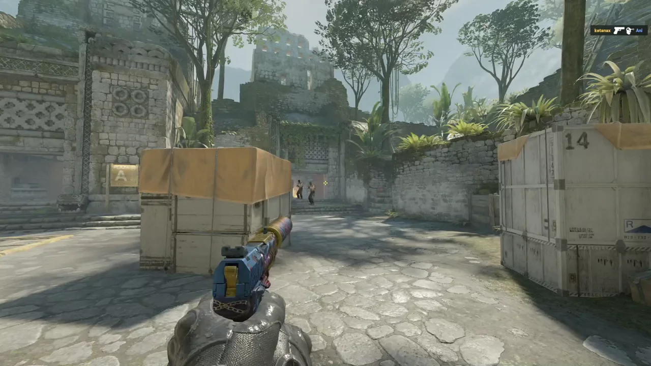 highlight